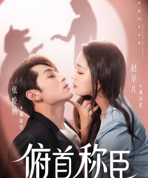 俯首称臣（72集）张屹杨＆赵早儿-搜外项目网