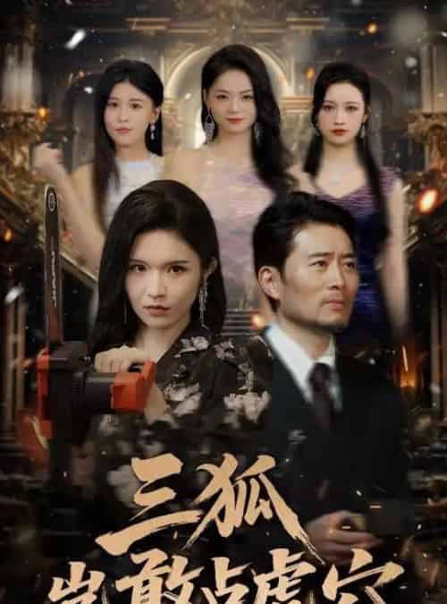 三狐岂敢占虎穴(68集)旭玲&王子青&赵慧&粥粥-搜外项目网