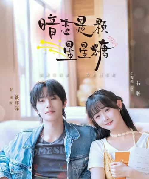 暗恋是颗星星糖（100集）张翅＆至春禾-搜外项目网