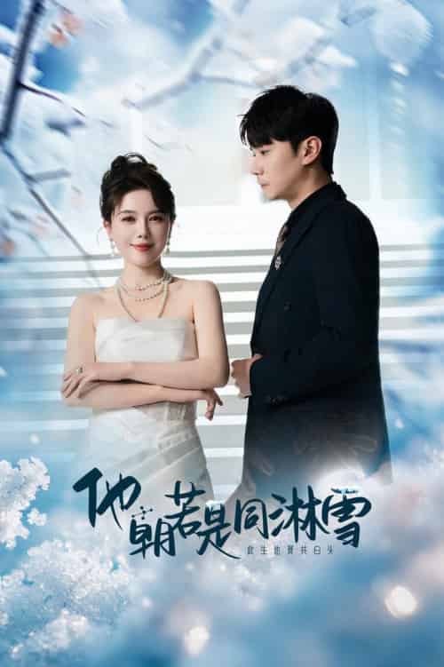 他朝若是同淋雪（48集全）刘家呈-搜外项目网