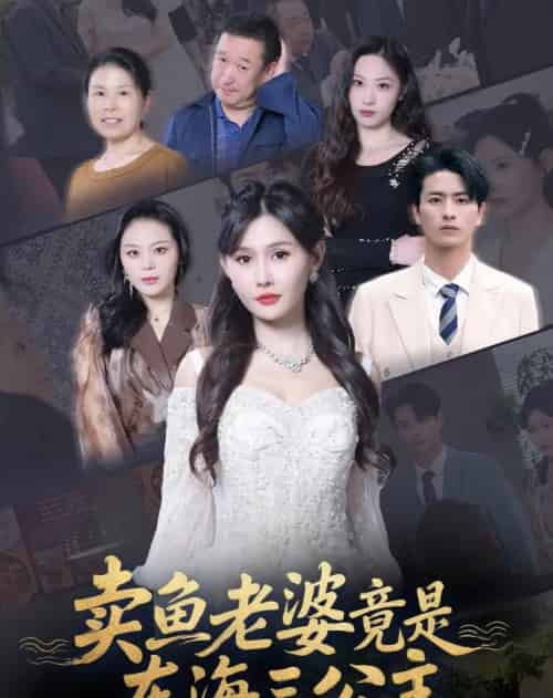 卖鱼老婆竟是东海三公主 (61集) 王新颖-搜外项目网