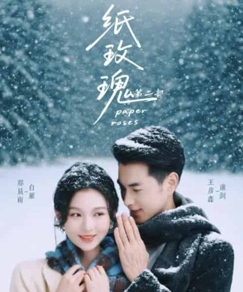 纸玫瑰第二部（80集全）王彦鑫＆郑晨雨-搜外项目网