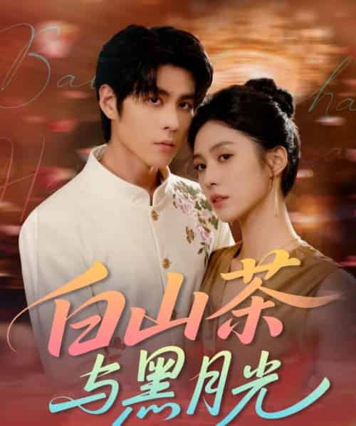 白山茶与黑月光（59集全）邓雯文＆安奕明-搜外项目网