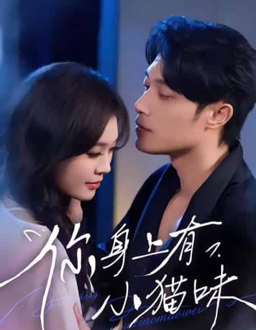 你身上有小猫味(47集全)韩悦&一安羊-搜外项目网