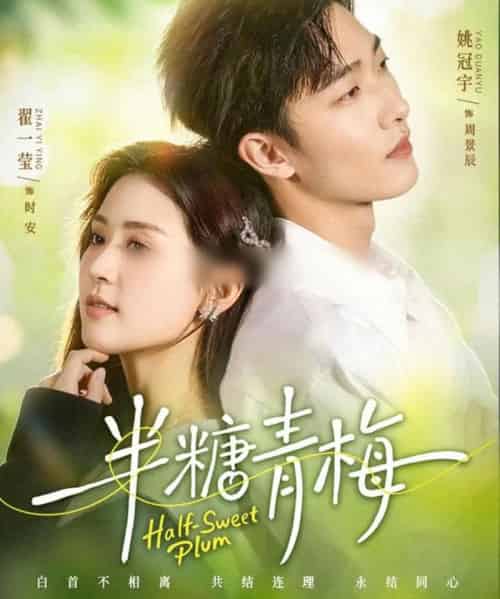 半糖青梅（96集全）翟一莹＆姚冠宇-搜外项目网
