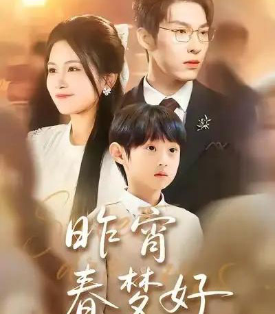 昨宵春梦好(90集全)王锤锤&张禹麟-搜外项目网