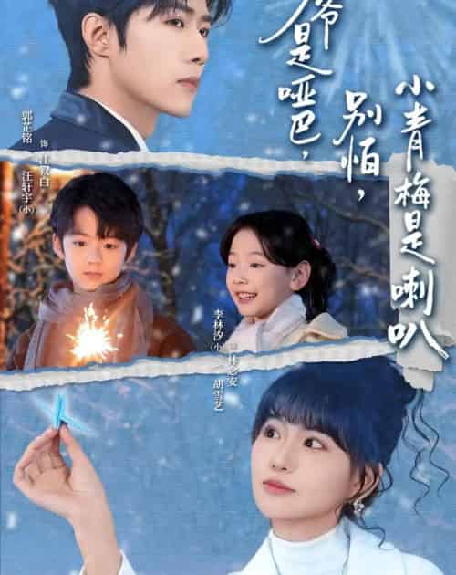 少爷是哑巴，别怕，小青梅是喇叭＆少爷是哑巴别怕小青梅是喇叭（70集全）郭芷铭＆胡雪艺-搜外项目网