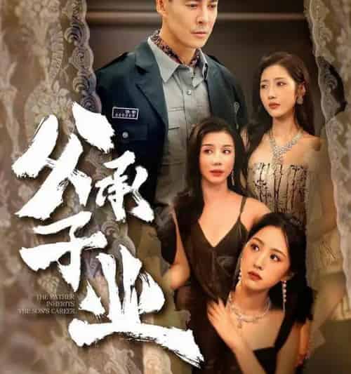 父承子业(100集全)萨钢云&张如意-搜外项目网