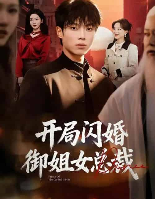 开局闪婚御姐女总裁（62集全）肖茜文＆杨晨-搜外项目网