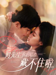 时先生你的暗恋藏不住啦(100集全)王楠&袁雨涵-搜外项目网