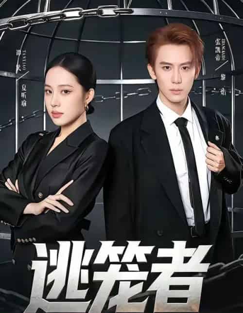 逃笼者(71集全)张凯帝&谭笑-搜外项目网