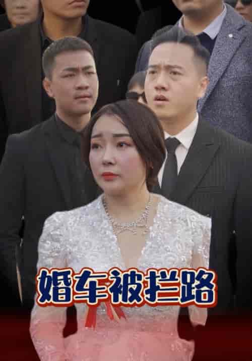 婚车被拦路（79集全）杨松川＆何凤-搜外项目网