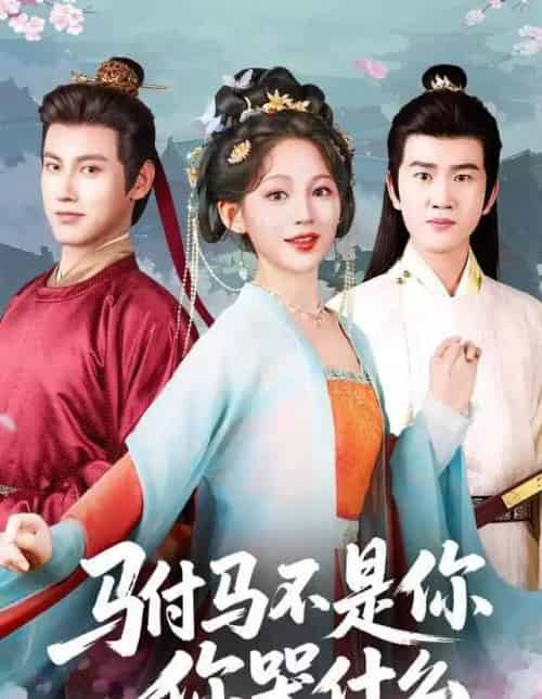 驸马不是你，你哭什么（49集全）傅邦奇＆崔秀子-搜外项目网