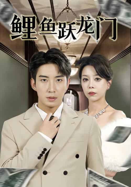 鲤鱼跃龙门（60集全）陈远＆姚澜澜-搜外项目网