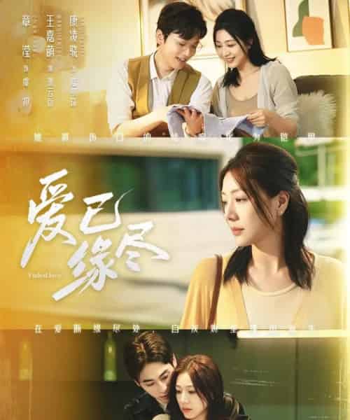 爱已缘尽(62集全)王嘉萌&章滢-搜外项目网