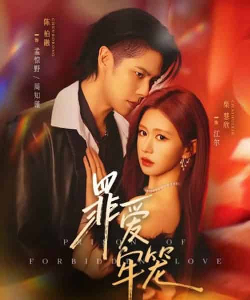 罪爱牢笼（72集全）陈柏融＆柴慧欣-搜外项目网