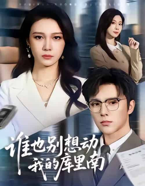 谁也别想动我的库里南（58集全）吴帆＆屈浩野-搜外项目网