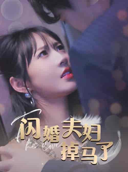 闪婚夫妇掉马了（40集全）-搜外项目网