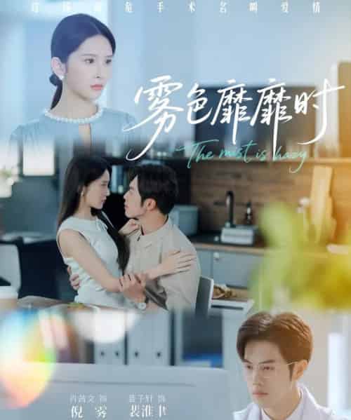 雾色靡靡时（53集）肖茜文＆聂子轩-搜外项目网