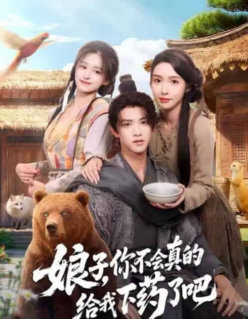 娘子，你不会真的给我下药了吧＆郎君，该喝药了（73集全）陈外＆刘金妍-搜外项目网