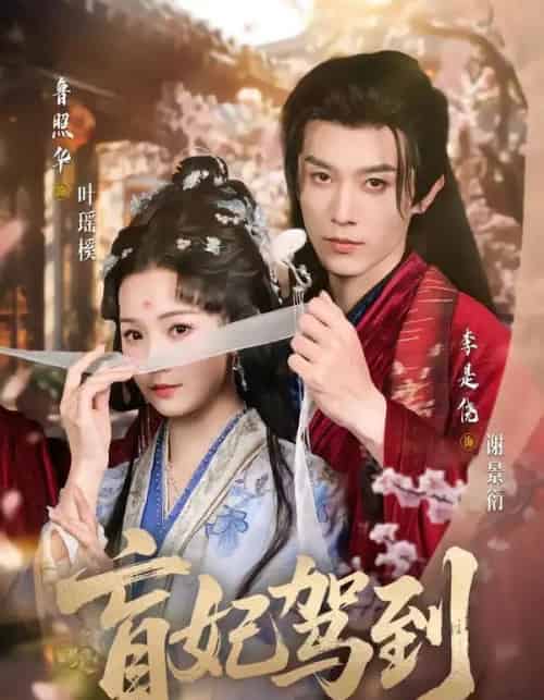 盲妃驾到(65集全)鲁照华&李是侥-搜外项目网