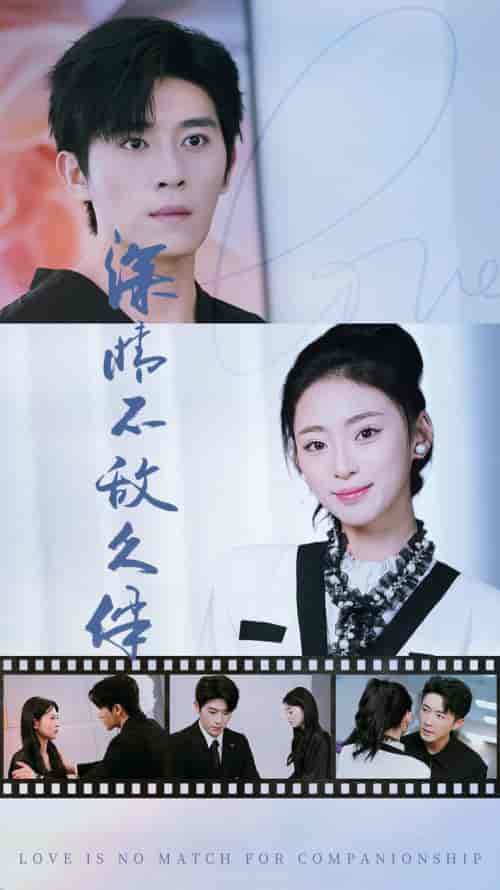 深情不敌久伴(50集)王美淇-搜外项目网