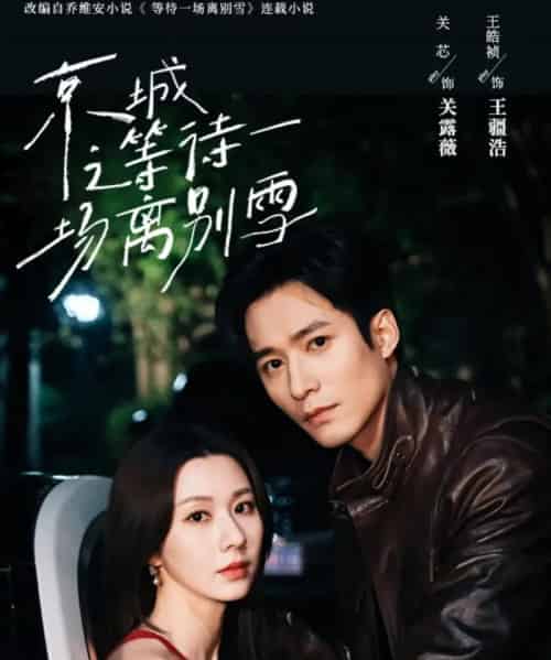 京城之等待一场离别雪（42集）王皓祯＆关芯-搜外项目网