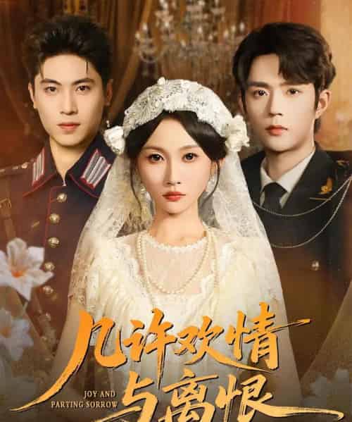 几许欢情与离恨（61集全）刘雨昊＆宋佳音-搜外项目网