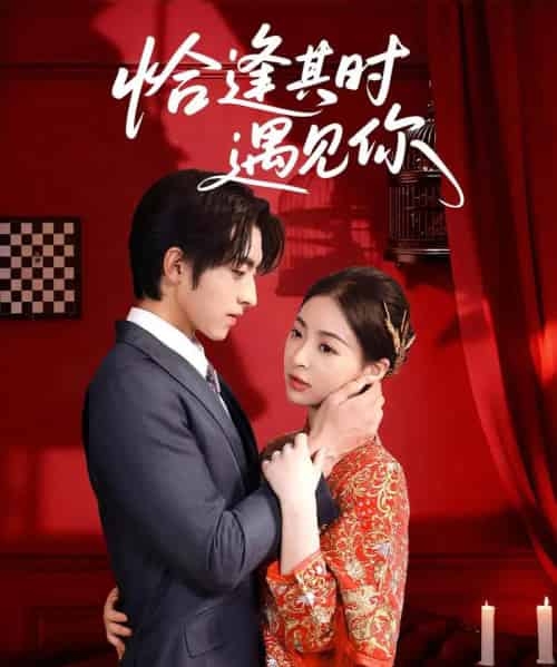 恰逢其时遇见你(60集)马世纪&朱静-搜外项目网