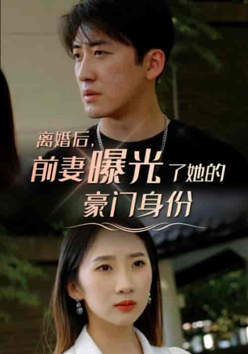 离婚后，前妻曝光了她的豪门身份（100集全）叶明辰＆楚若离-搜外项目网