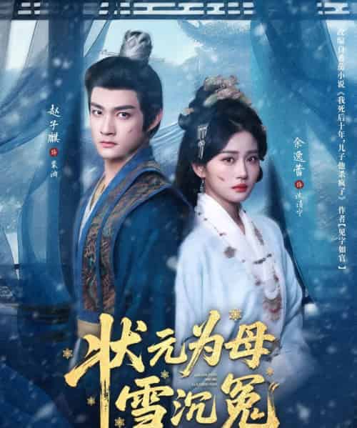 状元为母雪沉冤（58集全）赵子麒＆余逸蕾-搜外项目网