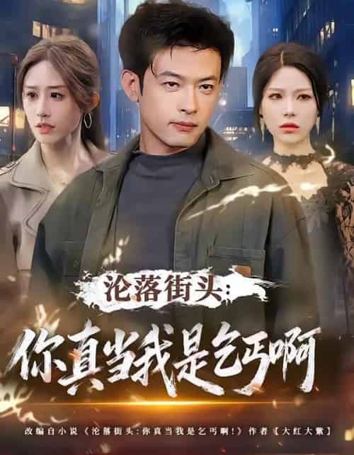 沦落街头：你真当我是乞丐啊（80集全）武鸿蕊＆马昂-搜外项目网