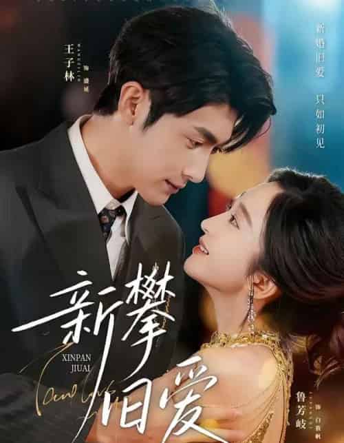 新攀旧爱（67集全）王子林＆鲁芳岐-搜外项目网