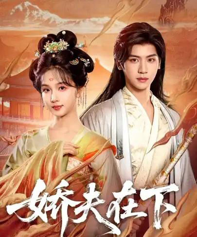 娇夫在下＆代嫁夫君（60集全）张洪鸣＆蔡卓音-搜外项目网