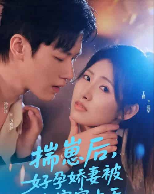 揣崽后，好孕娇妻被全家宠上天（77集全）冯伊洋＆王槿-搜外项目网