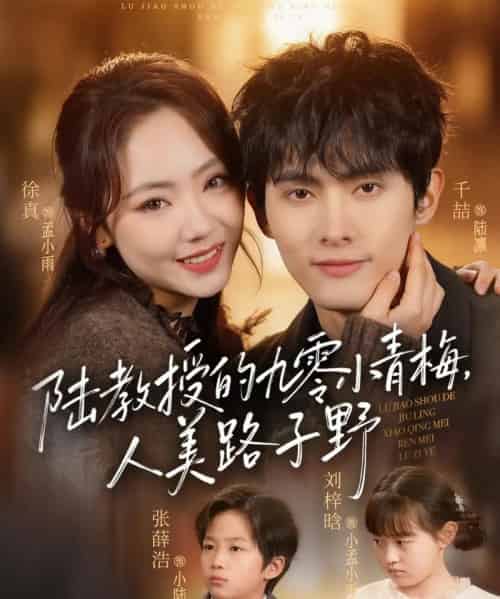 陆教授的九零小青梅，人美路子野 （80集全）千喆＆徐真-搜外项目网