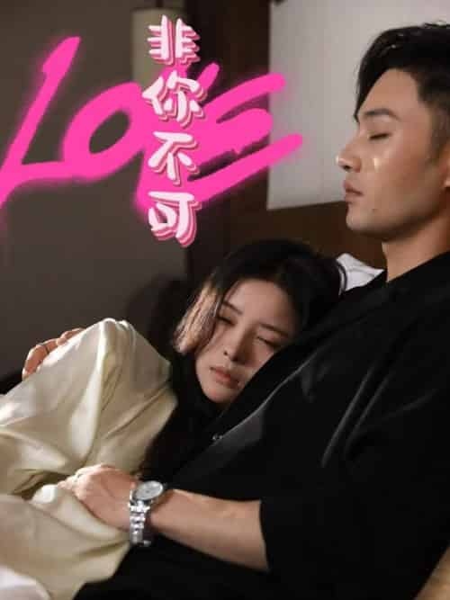 非你不可(48集全)柳甯&吴若溪-搜外项目网