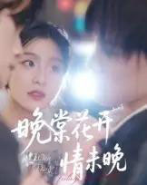 晚棠花开情未晚（30集）马嘉铭＆刘灵灿-搜外项目网