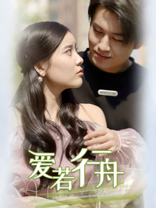 爱若行舟（40集全）-搜外项目网