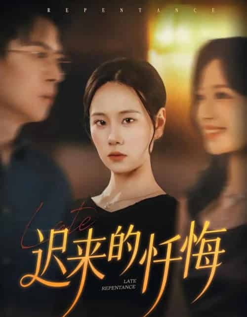 迟来的忏悔（41集全）王艳秋＆胡宏林-搜外项目网