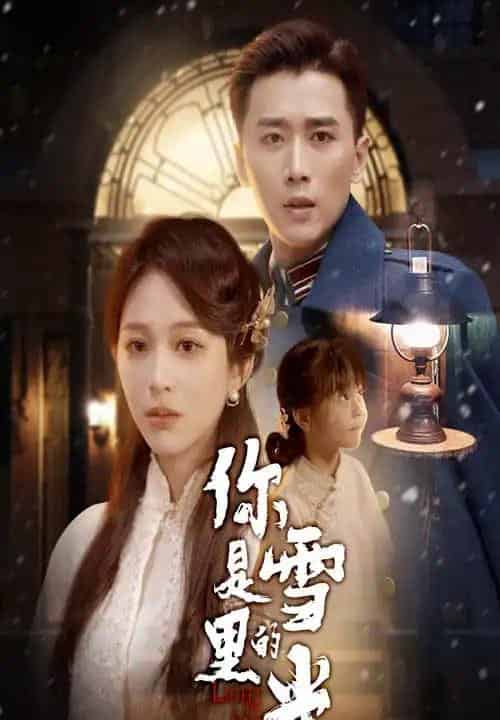 你是雪里的光（64集）梅洋＆韩录锦-搜外项目网