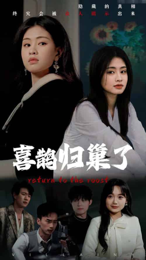 喜鹊归巢了（60集全）朱小雪-搜外项目网