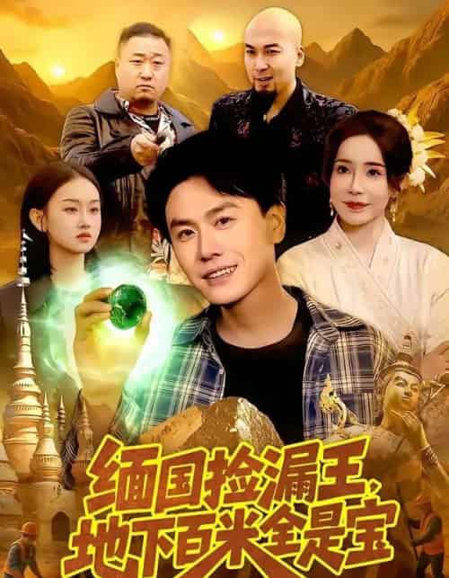 缅国捡漏王,地下百米全是宝(103集全)吴欣旖&倪楠-搜外项目网