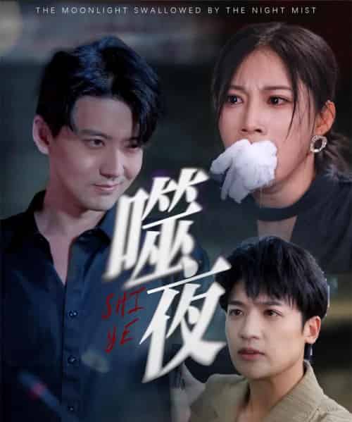 噬夜（78集）王熳熳-搜外项目网