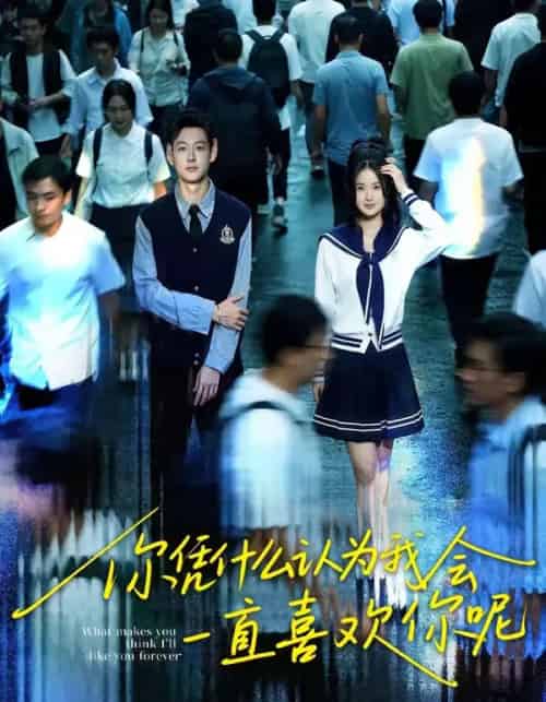 你凭什么认为我会一直喜欢你呢（80集全）刘万阁＆吴欣怡-搜外项目网