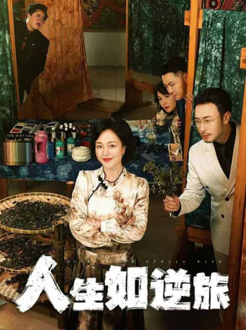 人生如逆旅(54集全)罗雪琼-搜外项目网