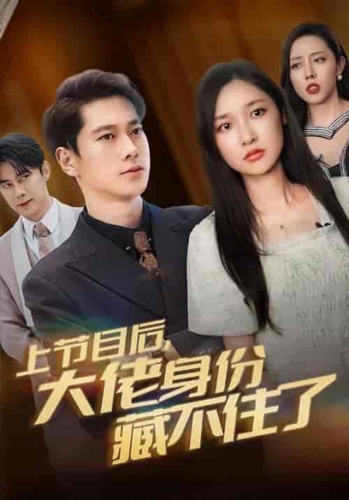 上节目后，大佬身份藏不住了（50集全）叶凡＆苏晚意-搜外项目网