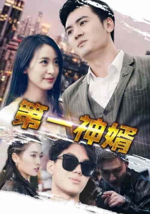 第一神婿(110集全)伍昕宇-搜外项目网