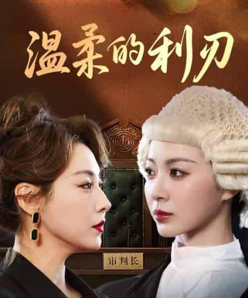 温柔的利刃（65集）马艺尘＆林思彤-搜外项目网