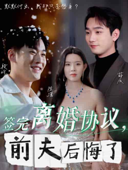 签完离婚协议前夫后悔了（31集全）-搜外项目网